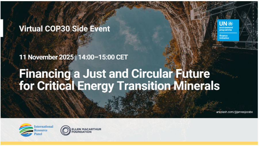 Virtual COP30 Side Event