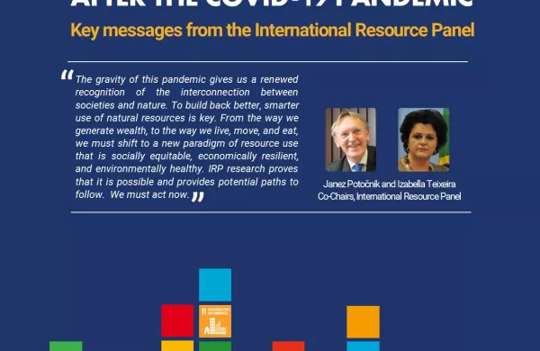 IRP Building Resilient Societies after Covid-19